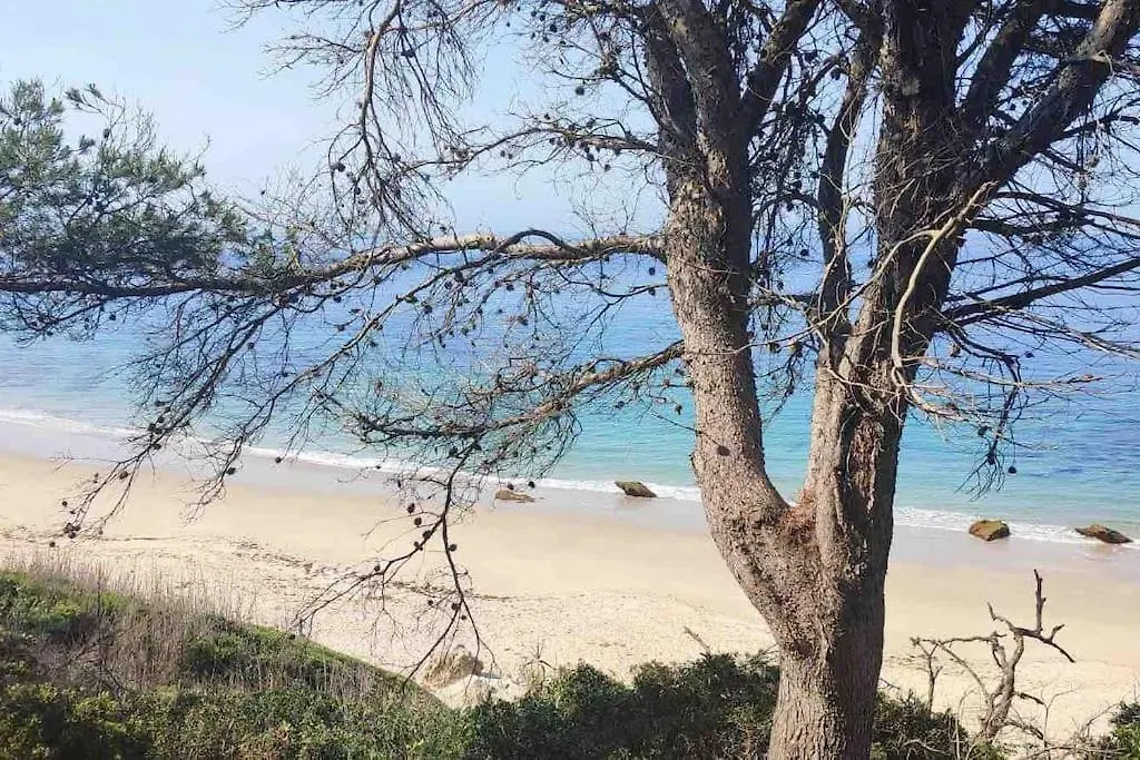 Appartamento Casita Del Mar A Pie De Playa Tarifa